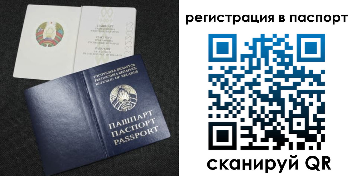 прописка в Кольчугино